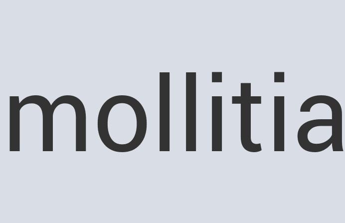 Durable Plastic Zillanet